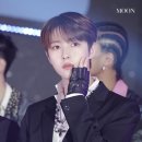 더일상마켓 이미지