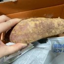 태안농산 해풍 맞은 꿀 고구마 특상 맛 본 후기