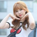 로하
