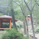 낙성대 둘레길 화장실 이미지