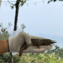 효지미 | 충남 태안 ‘솔향기길 캠핑장’ / 가을 제철 캠핑 음식 먹부림 / 대하 전어 꽃게 광어 쭈꾸미