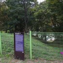 서리상반고려백자요지 이미지