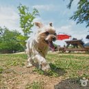 동물놀이터 화장실 이미지