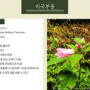 능전 이미지