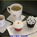 오브닝 이미지