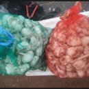 녹차골 보성향토시장 이미지