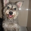 신석초교 이미지