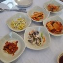 그린샤브&쭈꾸미 | 쭈꾸미 샤브샤브, 백종원도 반한 '그린하우스' 내돈내산 후기 | 보령 맛집 | 무창포 맛집 | 쭈꾸미...