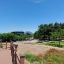 순정민박 이미지