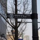 강남-257 이미지