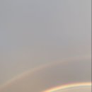 심플(SIMPLE) - 수원시 영통구 | 심플(SIMPLE)