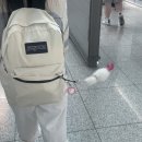 토담골 한식뷔페 | 2. 해외봉사 후기1