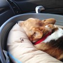 이리온 양재점 이미지