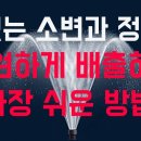 힘없는 소변 물줄기 확 뚫어주는 가장 쉬운 방법, 카리토포텐, 유린타민, 쏘팔메토 무엇이 효과적일까? 이미지