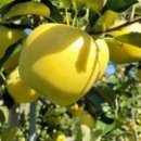 신복농장 이미지