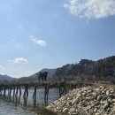 사강로 Daum카페