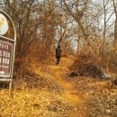 이순신 묘 이미지