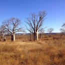 어머니와고등어 이미지