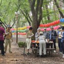 (영천) 은해사, 3천그루 금강송의 禁捕町 소원길과 松泉길(26.8.22.토.步生32차) 이미지