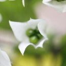 한우리약국 이미지