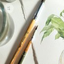 수분가득 수채화 이미지