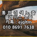 에스케이렌터카 강릉 | 강릉 롯데렌트카 쏘카 SK렌트카 요금 비교 강릉 여행 후기