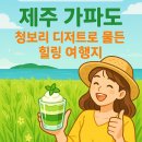 제주문화방송 주식회사 | [6시 내고향 소개] 제주 가파도, 청보리 디저트로 물든 힐링 여행지
