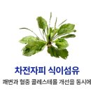 양천헬스 이미지