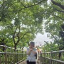 하프타임양산반도3차점 | 영도흰여울길 산책 - 화장실위치 카페정리 포토존위치 길설명