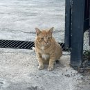 키즈앤파크 네이버블로그