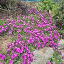 통영자연회타운 이미지