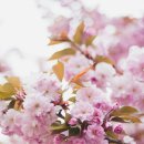 리마인드정신건강의학과의원 이미지