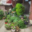 활천로 5번길 | [김해시청역맛집] 간만에 집밥이 생각날때? 밑반찬이 맛있는 가정식 집밥 정우식당 후기