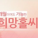 엔젤솔루션