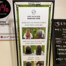 비오비헤어살롱 | 강서구클리닉 헤어살롱비오비 가양역점 클리닉후기 가양역미용실 클리닉맛집