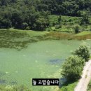 봉곡낚시터 이미지