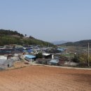 구로-구로-구로-1800 Daum카페