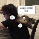 지우농원 | 눈치도 없이 11월이 또 왔어 😭