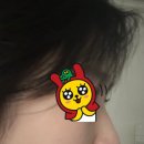 [코성형 발품 후기] 지방에서 서울 1화 / 성형 발품 꿀팁 / 주의점