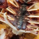 쭈니푸드 이미지