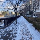 크로스핏 암스트롱 이미지