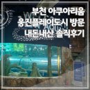 웅진플레이도시 | 부천 아쿠아리움 웅진플레이도시 내돈내산 방문후기