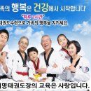 용인대 여명태권도 이미지