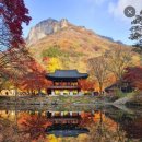 (마감)&#39;25년11월08일(토)~09일(일) 정읍내장사, 진안마이산 단풍관광 및 트레킹 이미지