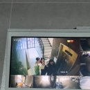 바들수