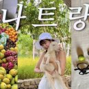 은아떡집