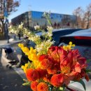 경기시청자미디어센터 2층 | <서울시청자미디어센터> 대여 카메라로 찍은 가을🍁크리스마스🎄 셀프 웨딩스냅📸 <플랑스튜디오 2호점...