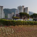 도시공사 앞 교통섬 이미지