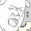 매코미통닭발
