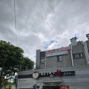 미소복어 이미지